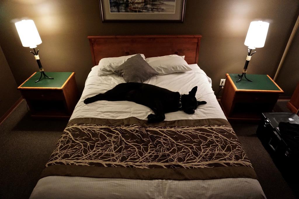 Bamfield Motel Salmon Beach Bagian luar foto