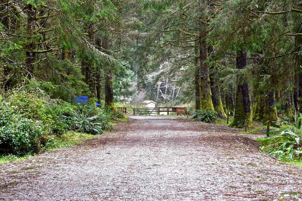 Bamfield Motel Salmon Beach Bagian luar foto