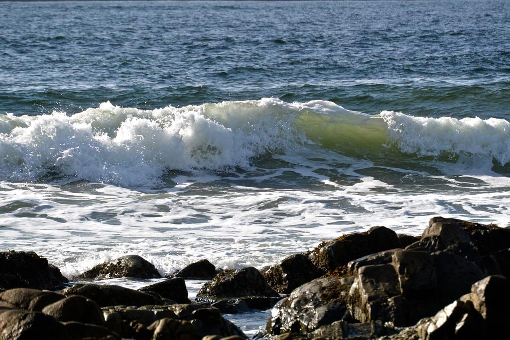 Bamfield Motel Salmon Beach Bagian luar foto